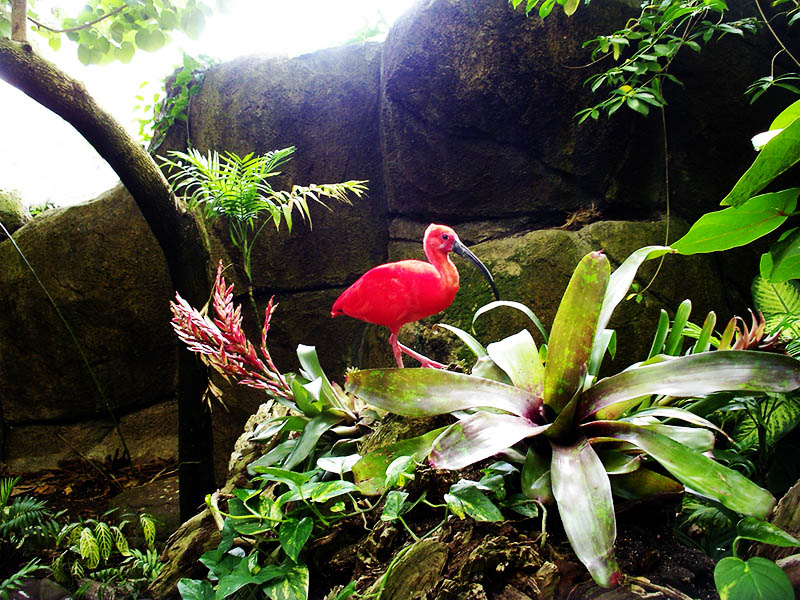 slideshow